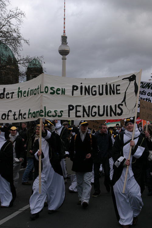 04. Homeless pengouins