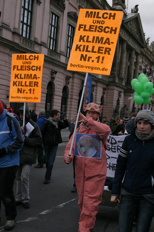 10. Fleisch Klima killer