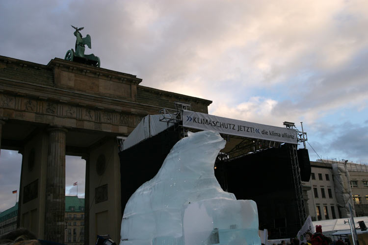 21. Eisbär ou l'ours polaire